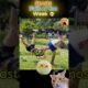 Ranking the Worst Sports Fails of the Week! 💀#shorts #funny #viral #fail