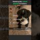 Ranking the cutest puppies In history😭💖 #foryou #blowup #funny #puppy #cute #dog #ranking #subscribe