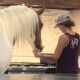 Rescue horse follows woman EVERYWHERE