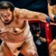 SUMO VS BOXEADOR | Pelea Completa | DWT4 Tokyo Blood