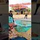Street Dog Rescue And Release Morning #dog #streetdogrescue #release #pets #ytviral #shorts #animals