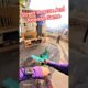 Street Dog Rescue For Abc And Release #dog #streetdogrescue #release #pets #ytviral #shorts #animals