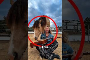 This Horse Tried to Play the Guitar  #animals #shorts