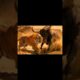 Tiger vs Wild Buffalo 🐅🔥 Epic Jungle Fight | Animal Battle Shorts #actionanimation #animatedmovie