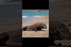 Venom vs Bone-Crushing Power: Who Survives This Deadly Trap? 🔞 #animals