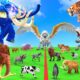 Who Is The Strongest Cow Elephant Lion Tiger vs Giant Angry White Lion Cow Saved By Woolly Mammoth