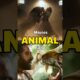 movies best animal fight scence #movies