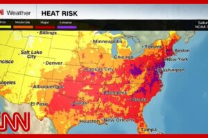 1,000+ dead in France from heat as US faces July 4th heat wave