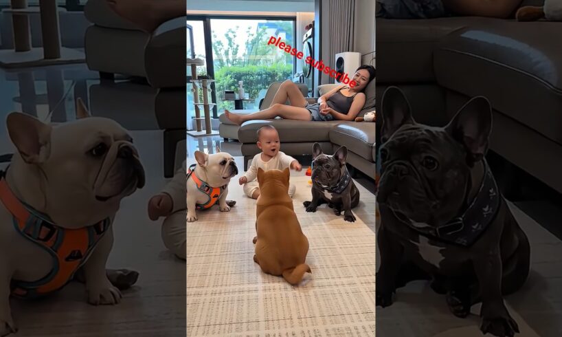 cute puppies barking adorable video #puppy #dog #cutedog #1millionviews  #trending #dogs #mrBitlooyt