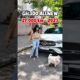2 em cún dễ thương #ngothogoodcar