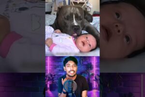 A Baby Girl Changed This Sad Dog’s Life Forever! 🥹🐶❤️  #dog #rescue #animals