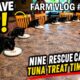A Day at Our Animal Rescue! Fox-Proofing, 9 Black Cats & Freeze-Dried Food