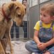 All Shelter Dogs Ignored Her… Until She Reached the Saddest One ❤️🐶