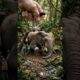 Baby Elephant Rescue 🐘❤️ | Emotional Animal Rescue Story #shorts#animals#children