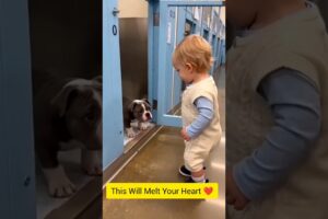 Baby Meets the Cutest Puppy for the First Time 🥹🐶 | Heartwarming #shorts #baby