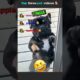 Best Three pet videos 🦴