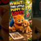 Cute Kitten Saves a Lost Puppy! 🐱🐶❤️ | Heartwarming Animal Rescue #Shorts