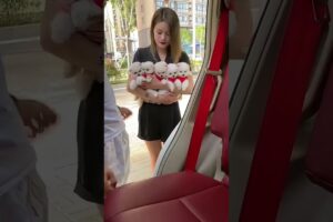 🐶 Cutest Puppy's First Car Ride! ❤️🚗Too Cute to Handle! 🐶✨Meet the World's Cutest Little Puppy