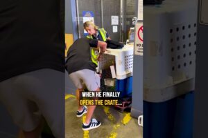 Dog’s heartwarming reaction after recognizing owner 🥹