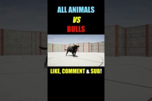 Far Cry 5 Bull vs All Animal Battles Highlight #shorts #gamer