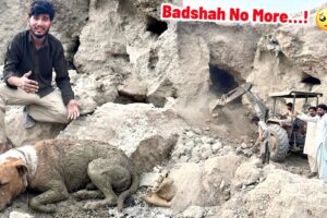 Finally Badshah Ko Hole Sy Rescue Kr Liya🥺 Badshah Ki Haalat Bhot Kharab…!