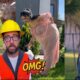 Funniest Fails of the Week 😂 | Try Not To Laugh #102  #trynottolaugh #fail #funny #funnyfails