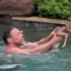 Man Rescues Baby Fawn Trapped in Swimming Pool 💕