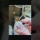 Man Rescues a Tiny Baby Animal – The Ending Will Melt Your Heart! 🥹🐾 #shorts #trending #animals