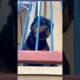 Name a animal #shorts #dog #rottweiler #puppy #cute #puppy #pets #animals