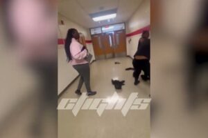 No Weak Fights (Hood Girl Fight)
