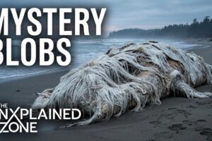 Paranormal Stories That Science Can't Explain | The Proof Is Out There