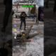 Ranking Close Calls From 1 to a BOSS Level 😳