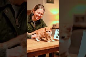 She Saved an Injured Kitten's Life ❤️ | Heartwarming Animal Rescue Story