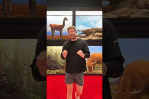 Spot The Fake Animal For $10,000
