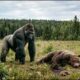 THE ULTIMATE DEBATE: Giant Silverback Gorilla vs Grizzly Bear | Animal Fight | Animal Battles