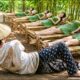 Thằng Ăn Mày Phế Vật Bị Coi Thường, Nào Ngờ Khiến 4 Cô Gái Xinh Đẹp Đi Theo Hầu Hạ