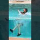 The Hero Sea Lion! 🥹🌊