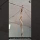 "The Incredible Art of Snake Movement in Nature" #snake #wildliferescue #animals  #rescueefforts