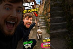 Tiny Puppies' Secret Adventure 🐶❤️ | Cutest Puppy Gang Ever! #shorts