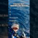Top 5 Scariest Shark Encounters Ever Caught on Camera 😱🦈