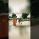 Unbelievable parkour stunts will blow your mind