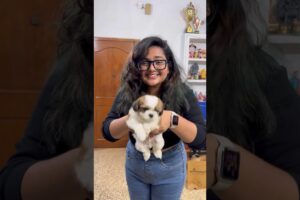 Varshini ki pedhha surprise 🐶🔥 #ishqyouall #shortvideo #swv #telugu #youtube #trending