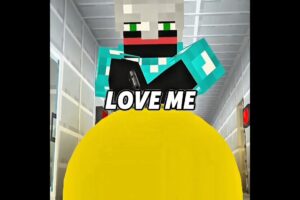 Verity doesn't deserved this🥲💔 Verity Edit || #verity #minecraft #thatmob