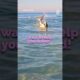 We Dove Into the Water to Save a Shark #rescue #animals #heartwarming