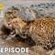 Wild Amazon (FULL EPISODE) | Battle for Survival in the Deadliest Jungle | Animal documentary