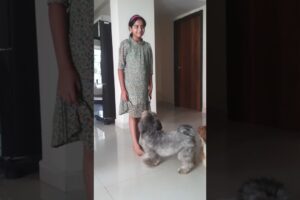 cute puppies ,so adorable ,very cute and silly #soo cute! #youtubeshorts #exciting moments
