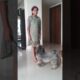 cute puppies ,so adorable ,very cute and silly #soo cute! #youtubeshorts #exciting moments