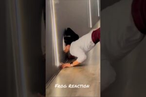 peoples fails of the the week #shorts #funny #frogreaction
