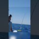 ¡Capturan un Tiburón Gigante Tras un Misterioso Ataque en el Océano! 🦈 Increíble Batalla en Alta Mar