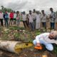 पाइप के अंदर छुपकर बैठे सांप को देखिए कैसे रेस्क्यु किया/ Big snake rescue in pipe